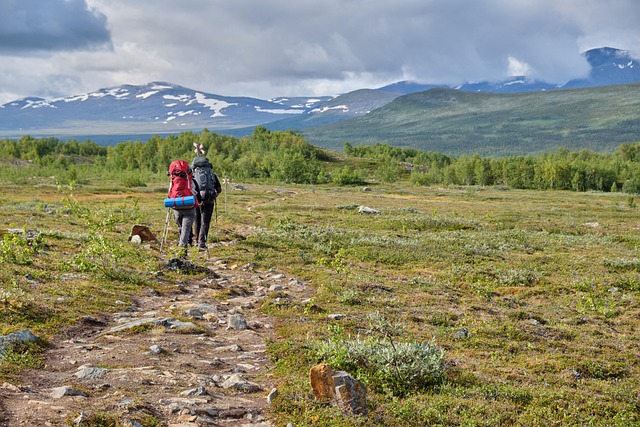 Group of friends hiking on an inspiring outdoor adventure, scenic view